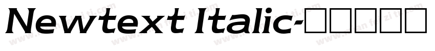 Newtext Italic字体转换
